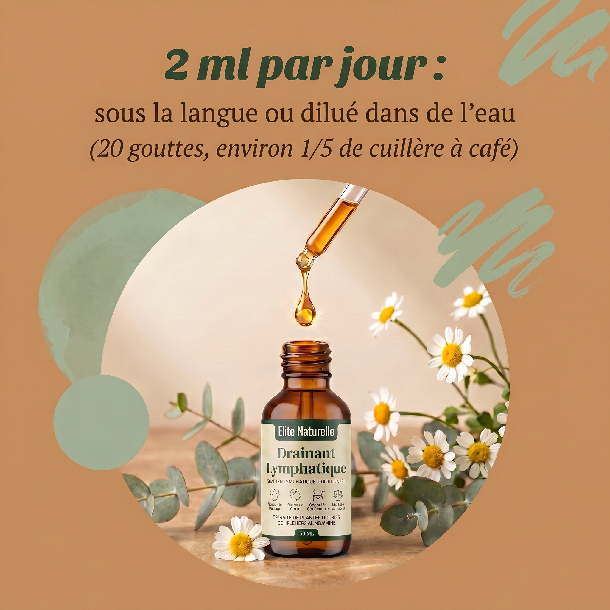 Drainant lymphatique – Élite Naturelle